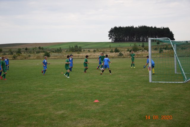 plewis 7